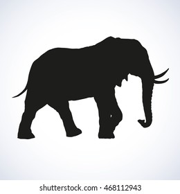 Old africana big powerful mammoth beast isolated on white background. Black ink hand drawn image sketch in art retro engraving style pen on paper. Side view with space for text