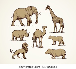 Old africana big powerful ungulate tropical jungle fauna beast set on white paper text space background. Outline black ink pen hand drawn sign icon logo emblem sketch in art doodle line engraved style