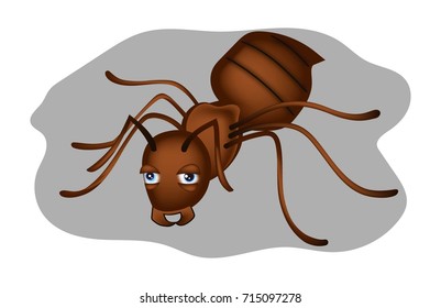 The old ant on the grey background. Vector illustration