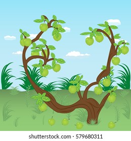 An old apple tree in the meadow with the harvest and fallen fruits on a background of blue sky. Vector illustration