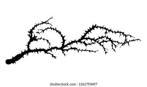 Old autumn hip rose ash tree light backdrop. Outline dark ink hand drawn king shrub logo pictogram emblem design in retro art doodle engrave cartoon print style pen on paper text space. Closeup view