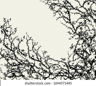 Old autumn hip rose ash tree light backdrop. Outline dark ink hand drawn king shrub logo pictogram emblem design in retro art doodle engrave cartoon print style pen on paper text space. Closeup view