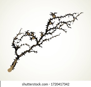 Old autumn hip rose ash tree light backdrop. Outline dark ink hand drawn king shrub logo pictogram emblem design in retro art doodle engrave cartoon print style pen on paper text space. Closeup view