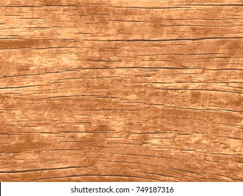 Old Barn Wood Plank Texture Close-up. Vintage Natural Vector Background