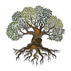 Old Big Family Tree With Roots Isolated On White. Concept Art For Your Design. Design Interior Ideas.