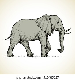 Old big powerful mammoth beast isolated on white background. Freehand outline ink hand drawn picture sketch in art doodle style pen on paper. Side view with space for text