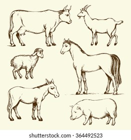 Old big rural animals stand on farmland pasture field isolated on white background. Freehand outline ink hand drawn picture sketch in art doodle retro style pen on paper. Side view with space for text