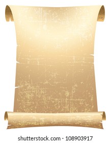 old blank parchment scroll vector