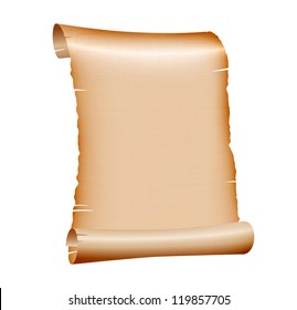 old blank scroll paper on white background. vector illustration