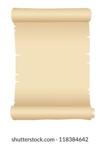 old blank scroll paper - vector illustration