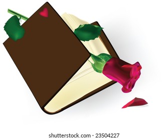 the old book with a rose and heart
