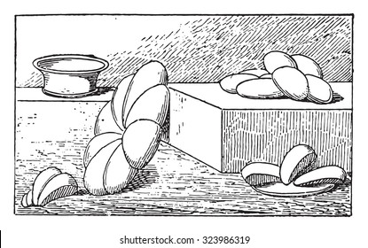 Old bread, vintage engraved illustration.
