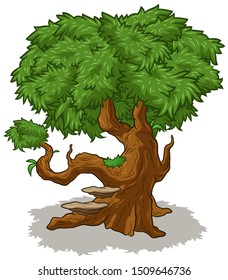 Old Cartoon Oak Tree Green Leaves Stock Vector (Royalty Free) 1509646736