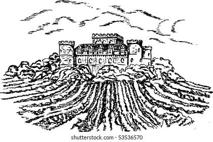 Old castle. Vineyard.