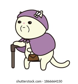 An old cat going out. A white cat grandma.
