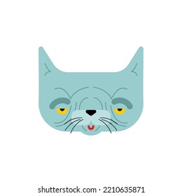 Old Cat Isolated. Grandpa Cat. Vector Illustration.