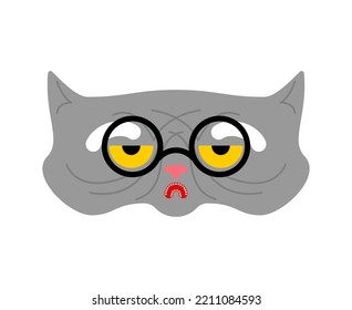 Old cat isolated. Grandpa cat. Vector illustration.