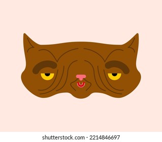 Old Cat Isolated. Grandpa Cat. Vector Illustration.