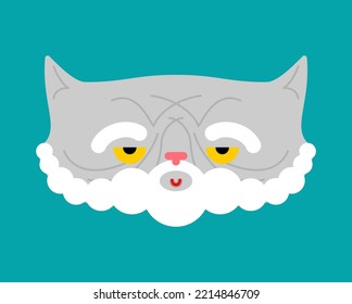 Old Cat Isolated. Grandpa Cat. Vector Illustration.