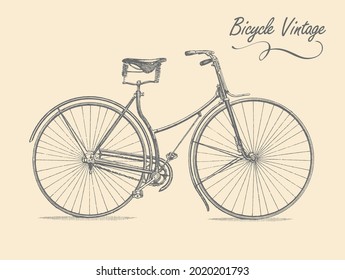 Old classic vintage bicycle. Vector