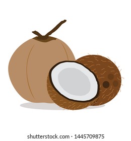 Old coconut Fruit Vector Illustration