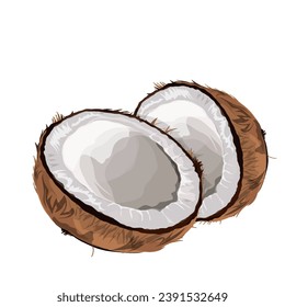 Old coconut that has been peeled and halved, without background