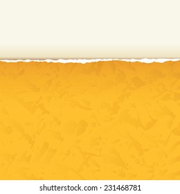 Old construction paper with ragged edge. Torn paper. Vector illustration