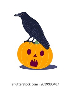 Old Crow sitting on Halloween pumpkin isolated on white background. Raven bird with a long beak and black plumage perched on orange-yellow pumpkin. Simple decoration element. Vector flat illustration.