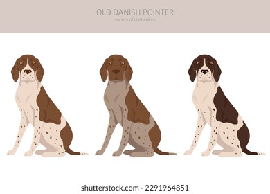 Old Danish pointer clipart. Different poses, coat colors set.  Vector illustration