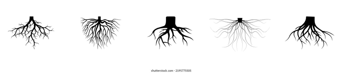 Old dark tree roots. Vector illustration