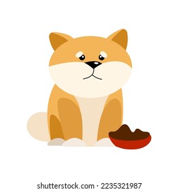 Old dog cartoon character sitting vector illustration. Cute puppy growing from little to adult and elderly, elder stage of growth isolated on white background. Pets, time concept