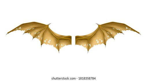 Old dragon wings isolated on white background, EPS 10.