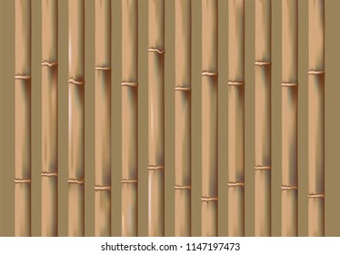 old dry bamboo background