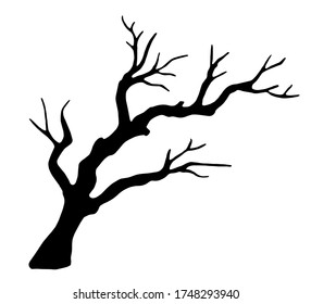Old dry  bare tree  Black silhouette  Sketch hand drawn  Isolated white background