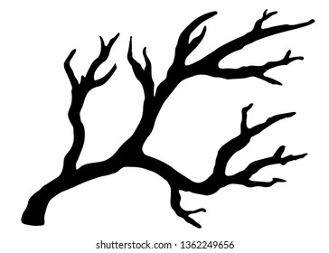Viejo seco, árbol desnudo, rama. Silueta negra. Esbozar dibujado a mano. Aislado sobre fondo blanco