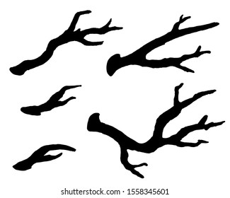 Old dry  bare tree  branch  bough set  Black silhouettes  Sketch hand drawn  Isolated white background 