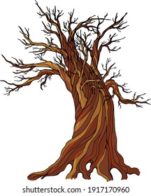Un viejo árbol seco con ramas largas sin hojas aisladas en un fondo blanco. Ilustración vectorial.