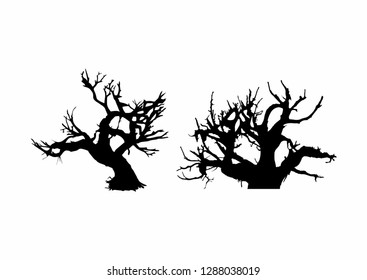Old Dry Tree Silhouette