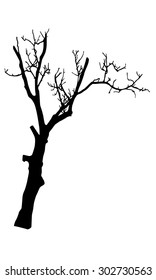 Old dry tree silhouette
