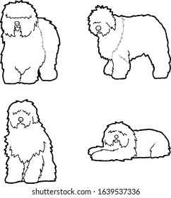 Old English Sheepdog Animal Vector Illustration Hand Drawn Cartoon Art