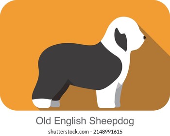 Diseño de iconos planos de raza Sheepdog inglesa antigua, ilustración vectorial