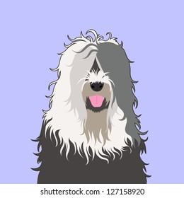 Old english sheepdog, The buddy dog