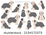 Old English sheepdog clipart. Different poses, coat colors set.  Vector illustration