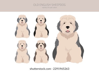 Viejo lindero de perro pastelero inglés. Postas diferentes, colores de abrigo.  Ilustración del vector