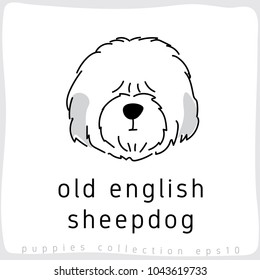 Old English Sheepdog : Dog Breed Collection : Vector Illustration