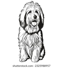 Característica de mascota de perro de Sheepdog inglesa antigua, mascotas vectoriales de clip dibujando dibujos de boceto en blanco y negro