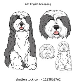 Old English Sheepdog illustration, dog breeds