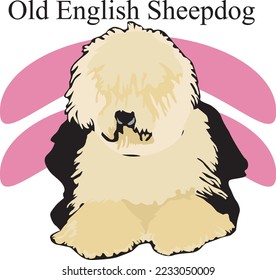 Ilustración de vectores de Sheepdog en inglés antiguo