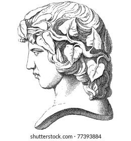 Old engraved face illustration. Vector. Others in my portfolio.
