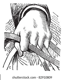 Old engraved illustration of a diagram of how to hold the reins of horse in double riding, with a human hand. Trousset encyclopedia (1886 - 1891)